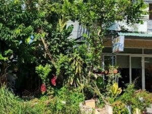 nha-dat-can-tho-nen-gia-re-nhat-tuyen-ds2-kdc-nam-long-2 (3)